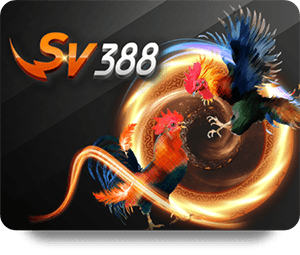 KE68 Live Dealer Hot: Best Games to Play and Win